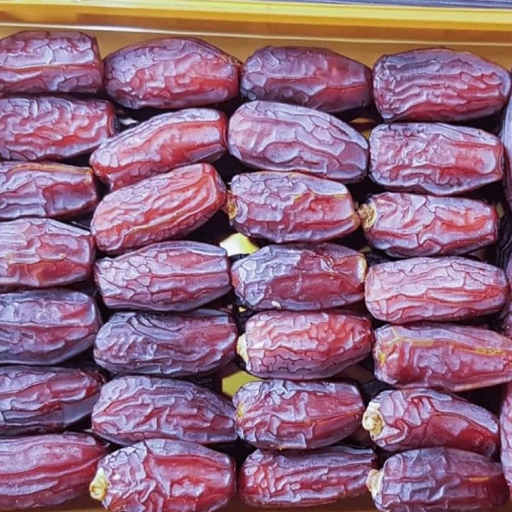 Premium Mabroom Dates | Large Jumbo Size | Imported from Saudi Arabia