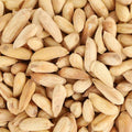 Premium Afghan Logari Mamra Almonds | White Grade | Rare & Crunchy