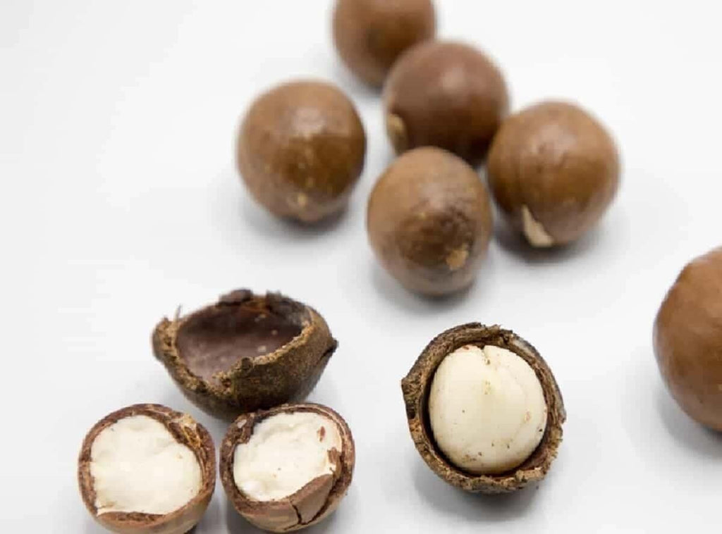 Australian Macadamia Nuts Big Size Crunchy and Roasted