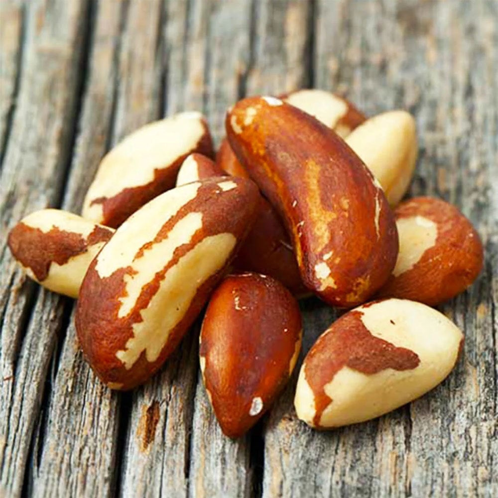 Brazil Nut Premium Quality Large Grade