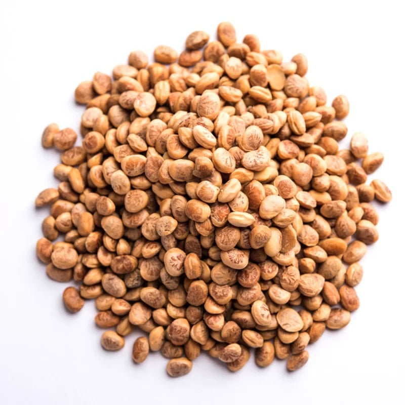 Premium Charoli (Chironji) | Cuddapah Almonds