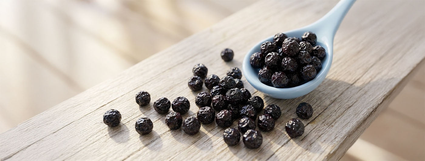 Premium Dried Blueberries Large Size | Sweet & Healthy Fruit Snack